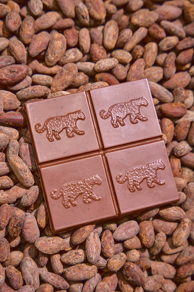 Karü Chocolate bar on cacao beans