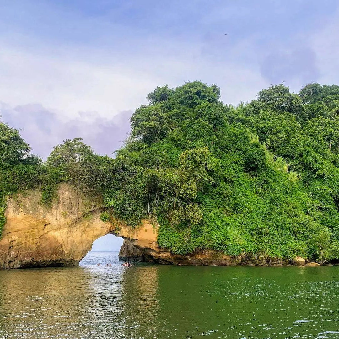Lush green forest in Tumaco, Colombia with a natural arch over water